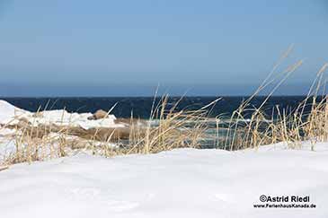 Winter Farben auf Cape Breton Island Nova Scotia Kanada